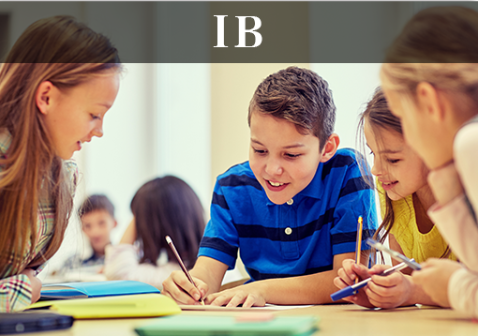 IB课程简介：IB课程是什么意思？