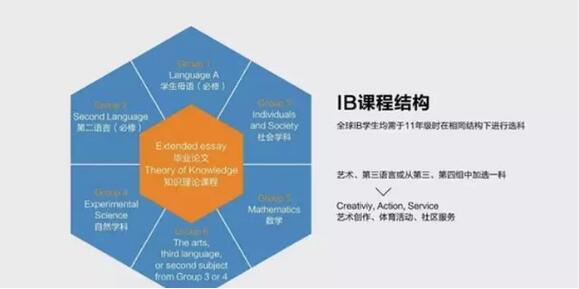 中国学生IB成绩常年领跑全球，如何备考IB考试更高效？
