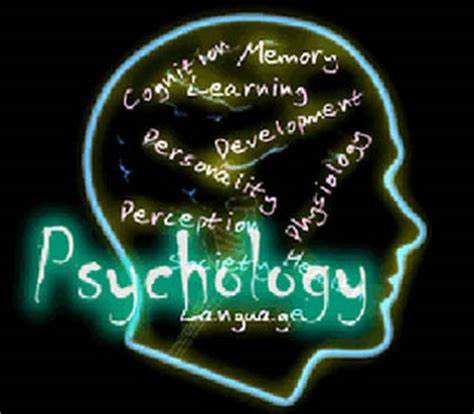 IB心理学学习内容介绍，该如何着手学习？