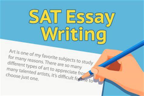 SAT写作考试如何把握文章中的论据？