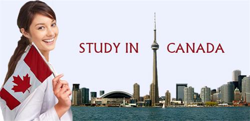 加拿大留学槽点太多，到底要不要去？