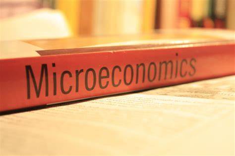 AP微观经济学主要课程内容指导