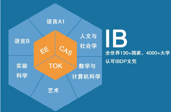 IB课程体系.jpg