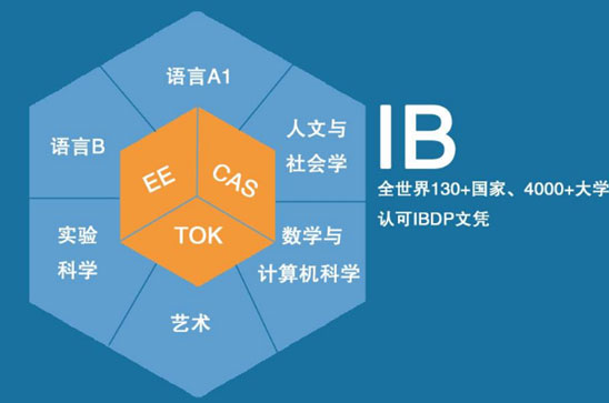 IB课程.jpg