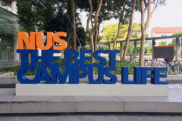 AP课程可以申请新加坡大学吗